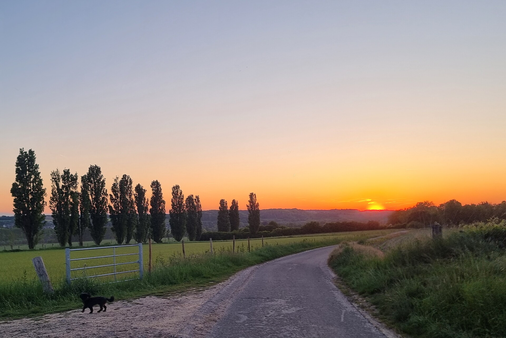 headerfoto kruisberg